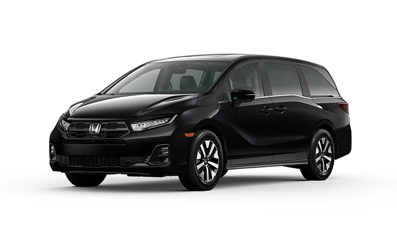 EX-L-Crystal-Black-Pearl-odyssey